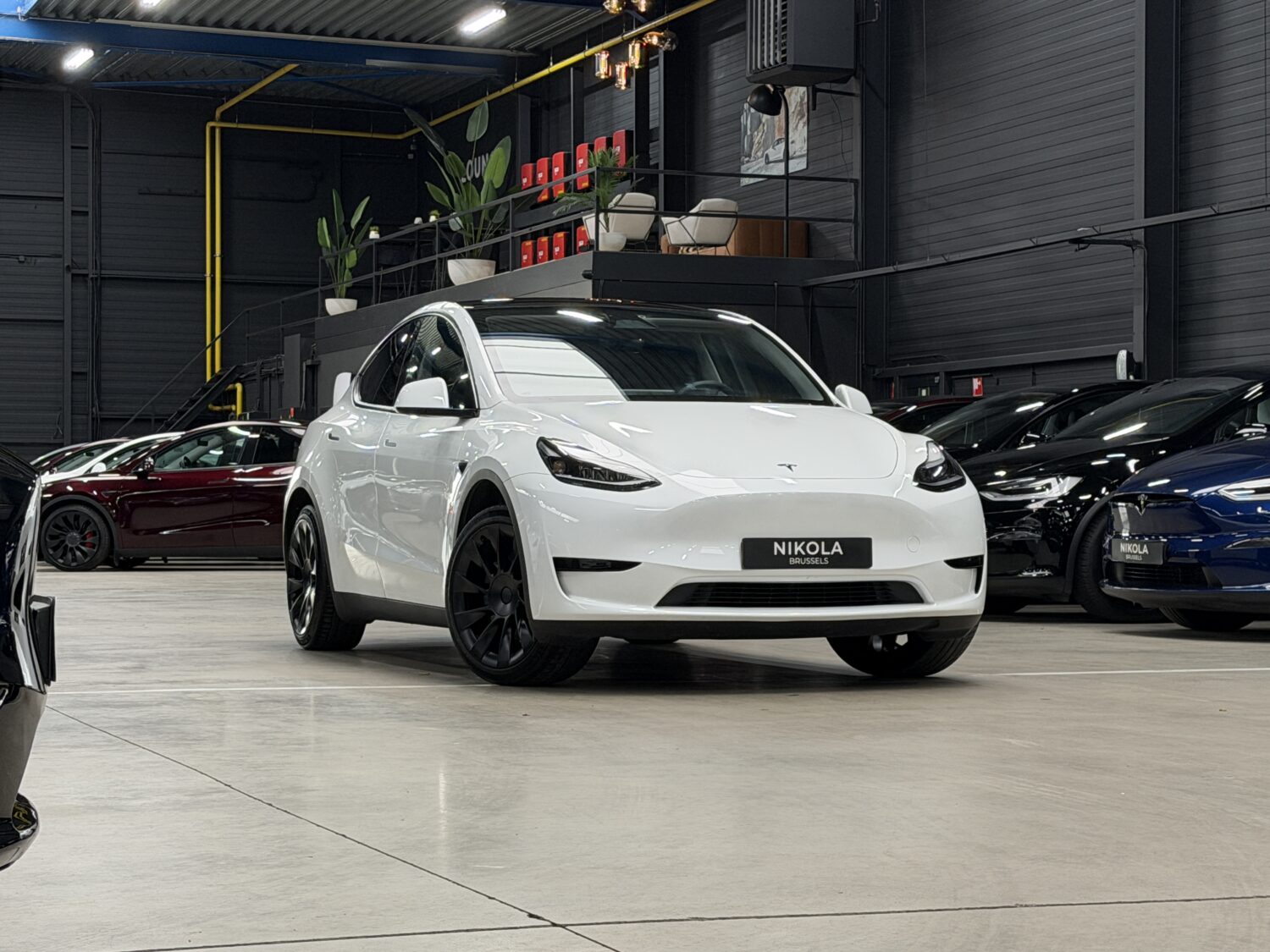 Tesla Model Y Premium RWD 2024